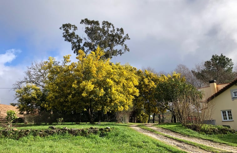 Natuurhuisje in Nogueira do Cravo (OHP)