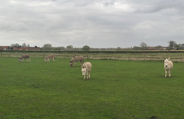 Natuurhuisje in Zarren