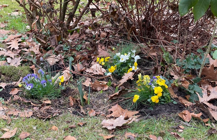 Natuurhuisje in Norg