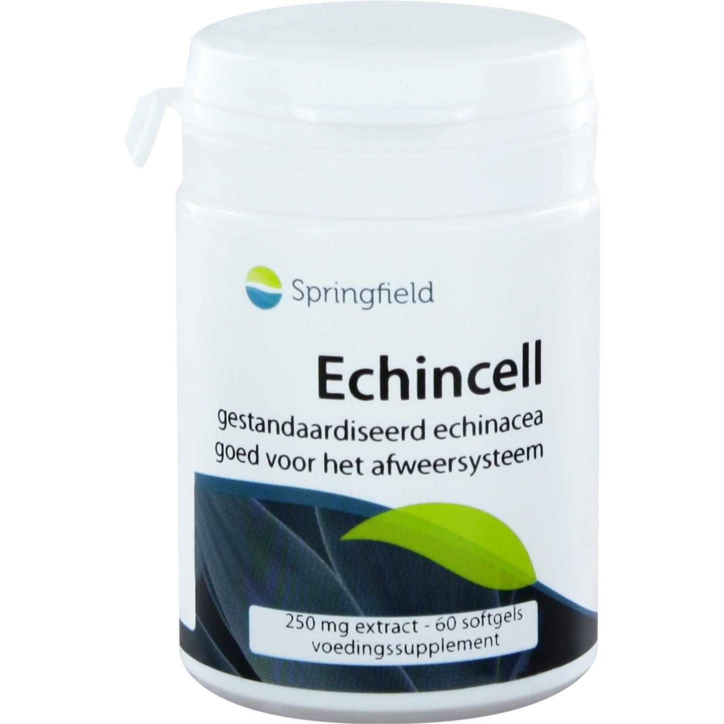 Echincell