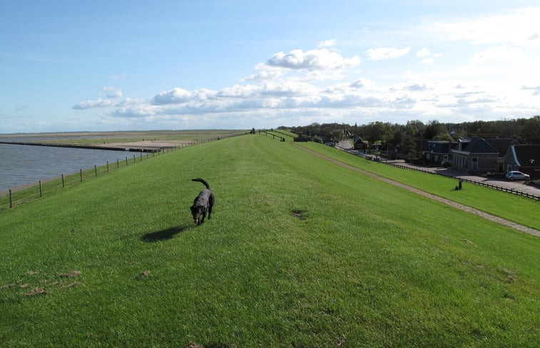 Natuurhuisje in Moddergat