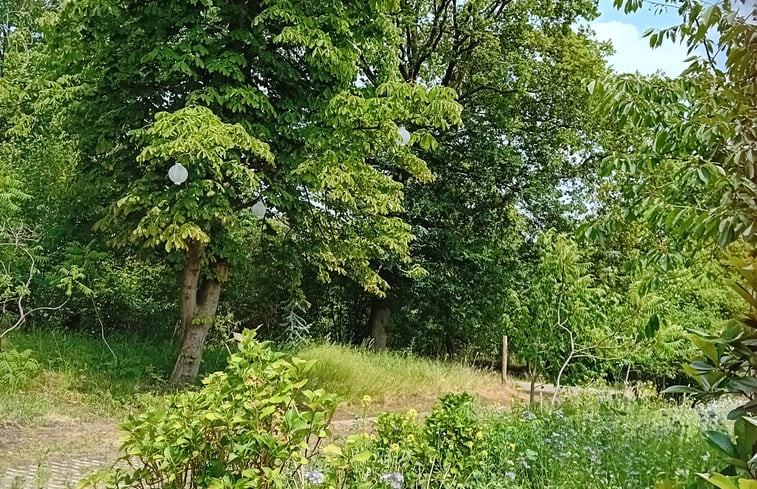 Natuurhuisje in de Lutte