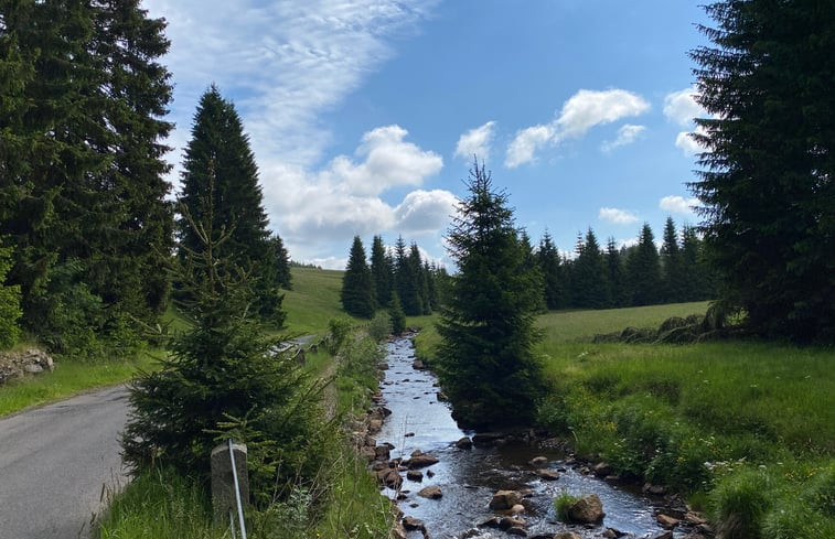 Natuurhuisje in Eibenstock