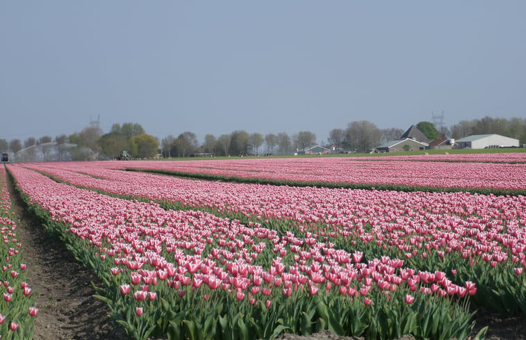 Natuurhuisje in Westbeemster