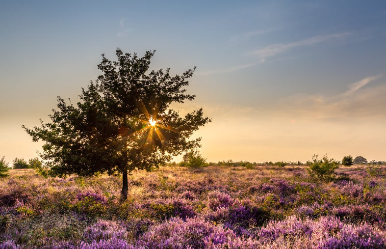 Natuurhuisje in Otterlo