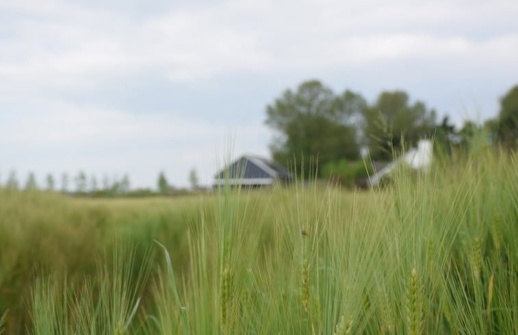 Natuurhuisje in Koudekerke