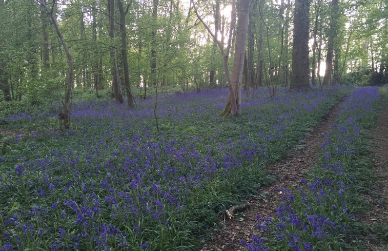 Natuurhuisje in Canlers