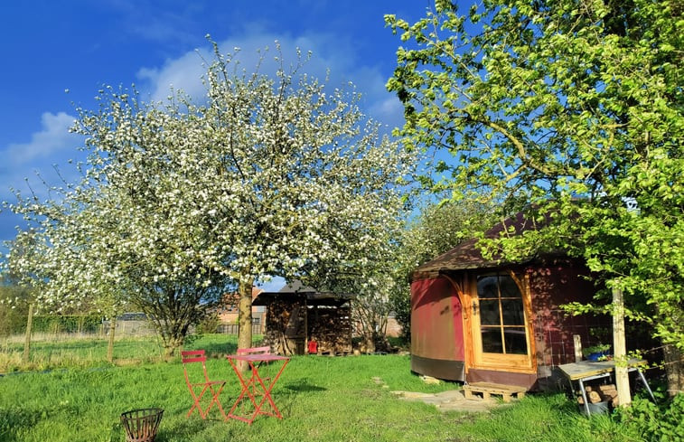 Natuurhuisje in Horebeke