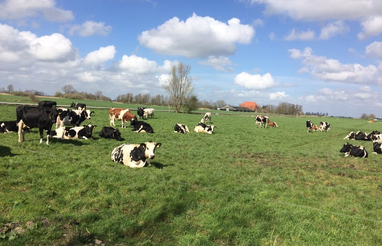 Natuurhuisje in Nes/. (Akkrum)