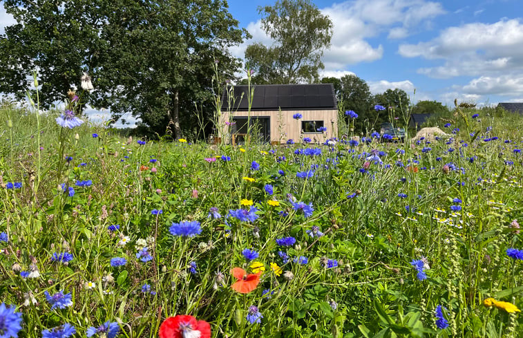 Natuurhuisje in Appelscha