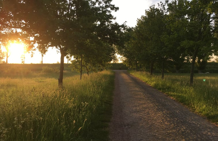 Natuurhuisje in Zierikzee