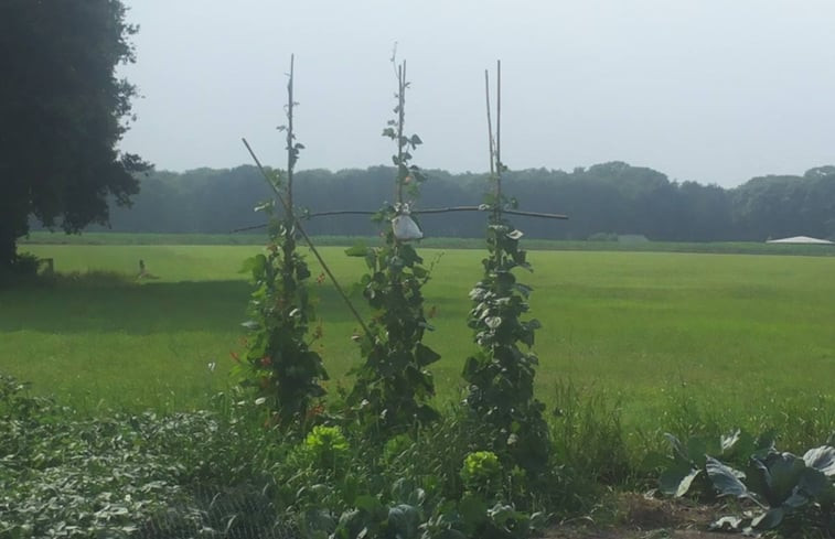 Natuurhuisje in Lochem