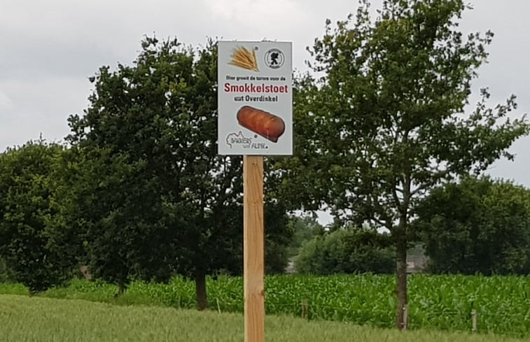 Natuurhuisje in Overdinkel