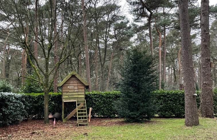 Natuurhuisje in Ommen