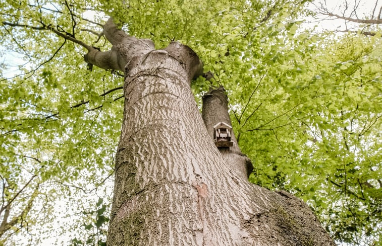 Natuurhuisje in Vasse