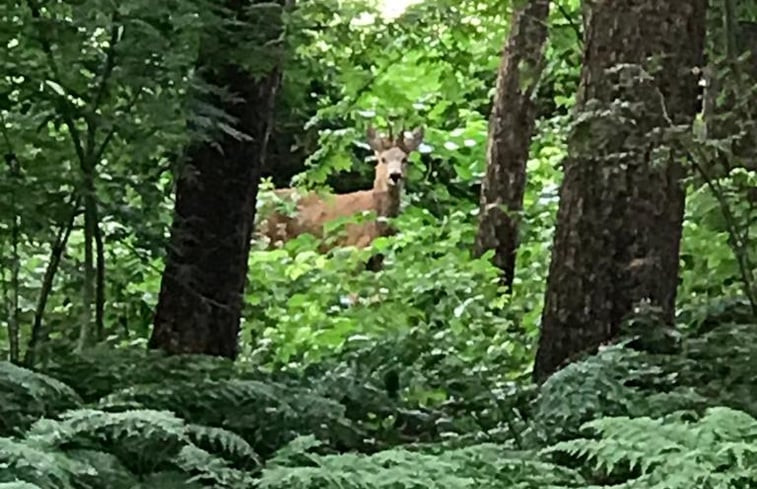 Natuurhuisje in Breda