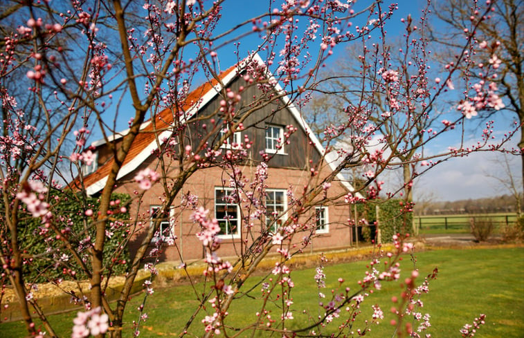 Natuurhuisje in Geesteren (OV)