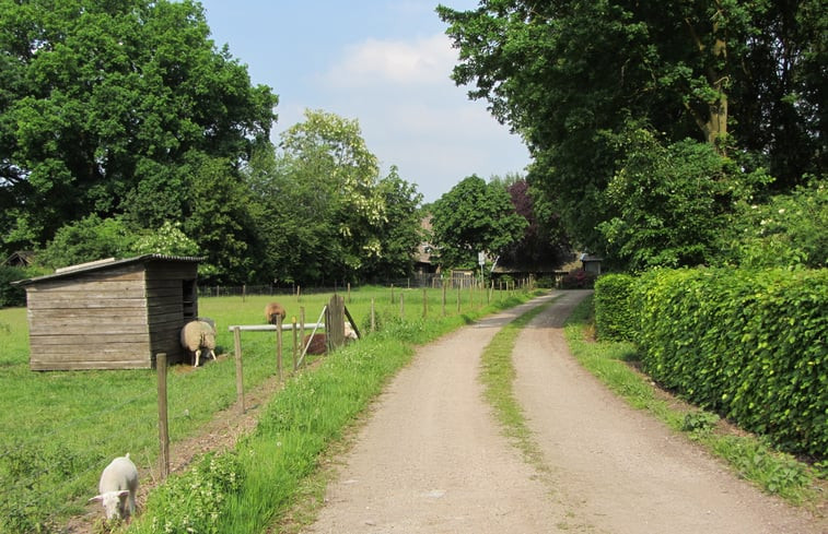 Natuurhuisje in Sevenum