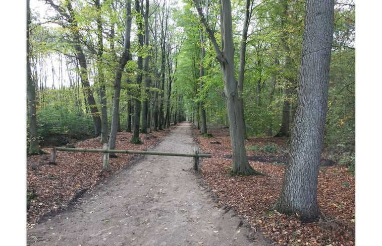 Natuurhuisje in Roden