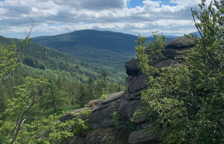 Natuurhuisje in Struznica