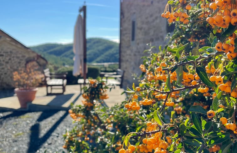 Natuurhuisje in Anghiari