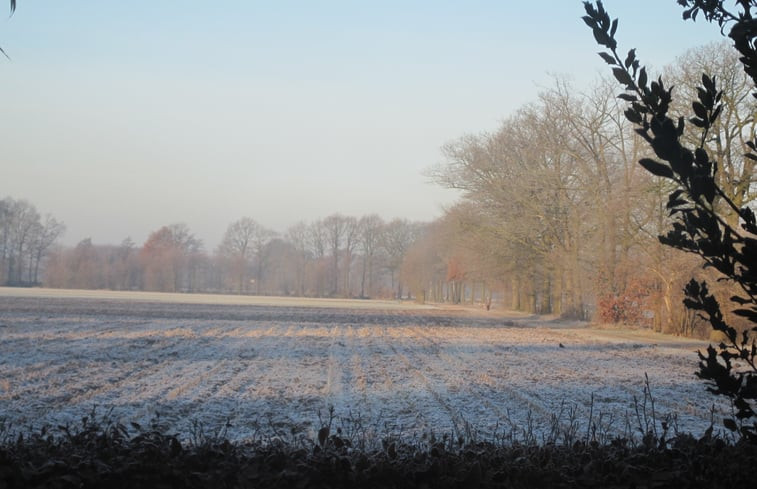 Natuurhuisje in Westendorp