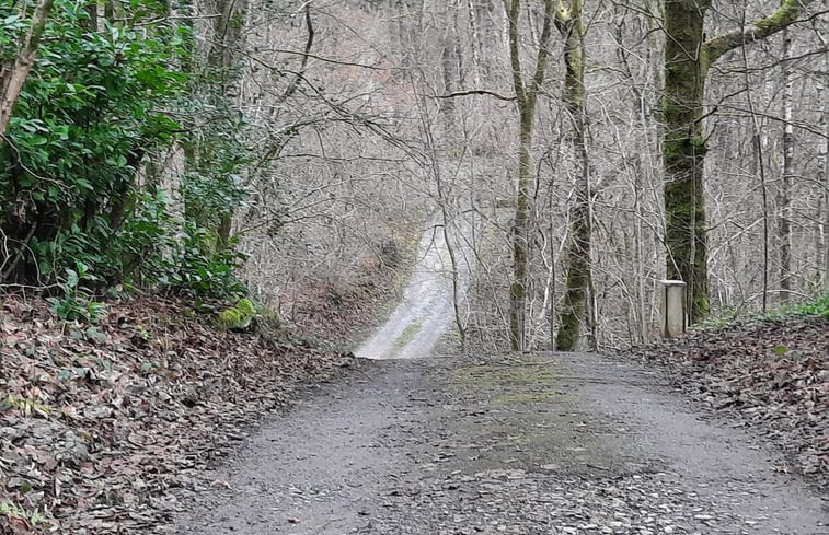 Natuurhuisje in Viroinval