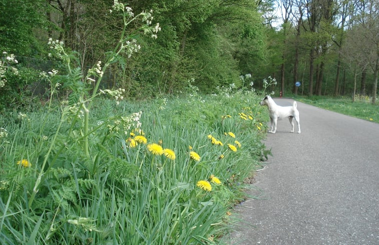 Natuurhuisje in Smilde