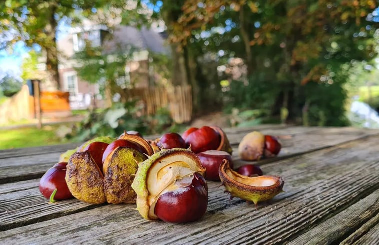 Natuurhuisje in Oterleek