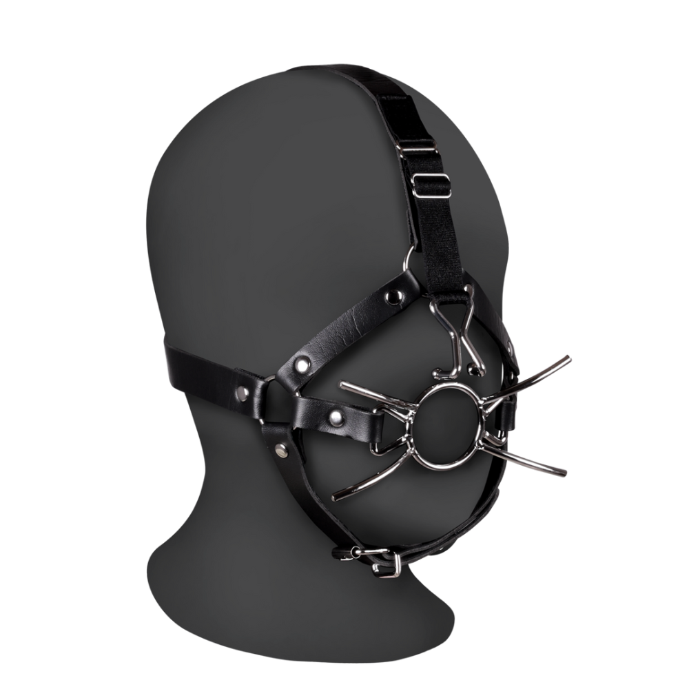 Ouch! by Shots Head Harness with Spider Gag and Nose Hooks - Black