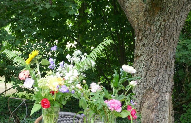 Natuurhuisje in Warnsveld