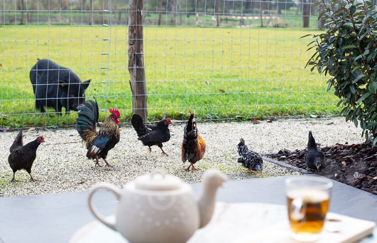 Natuurhuisje in Veenendaal