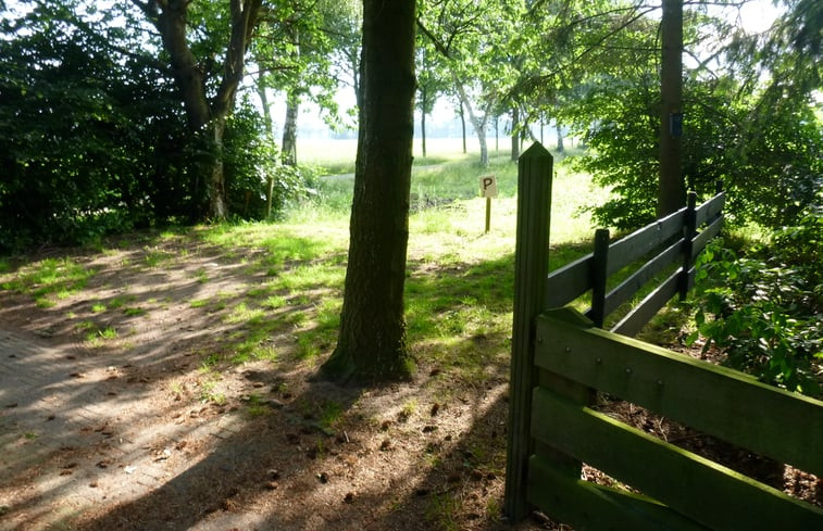 Natuurhuisje in Zelhem