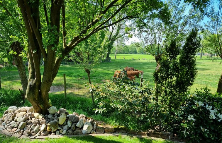 Natuurhuisje in de Lutte