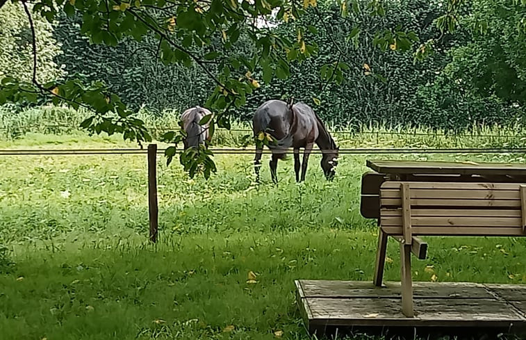 Natuurhuisje in Gameren