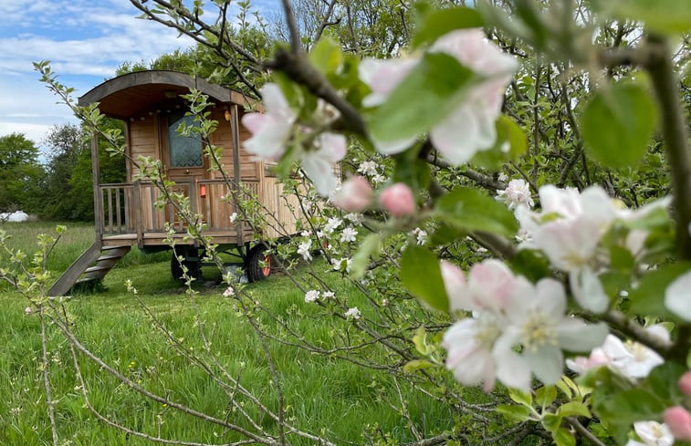 Natuurhuisje in La vespiere-friardel