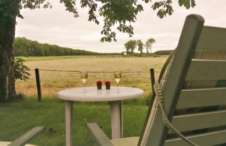 Natuurhuisje in Boijl