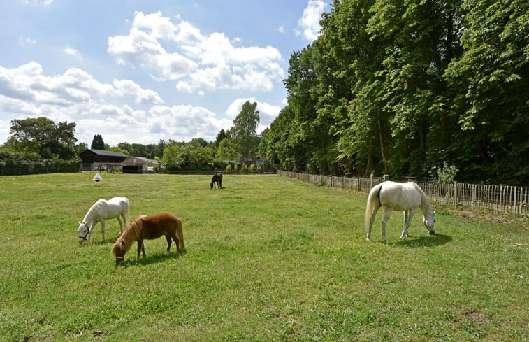 Natuurhuisje in Doorn