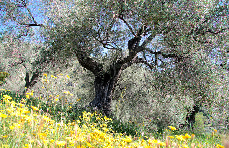 Natuurhuisje in Bayacas, Órgiva