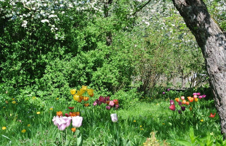 Natuurhuisje in Bernkastel-Kues