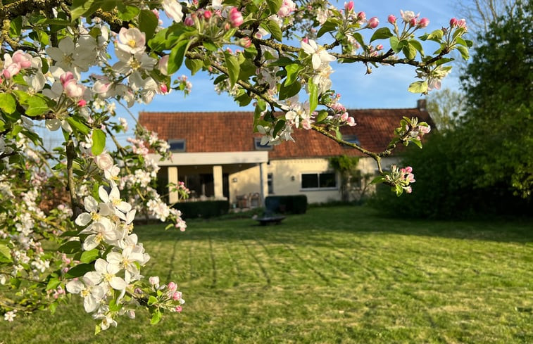 Natuurhuisje in Maarkedal