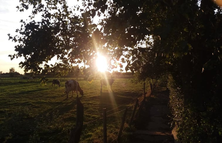 Natuurhuisje in Lichtervelde