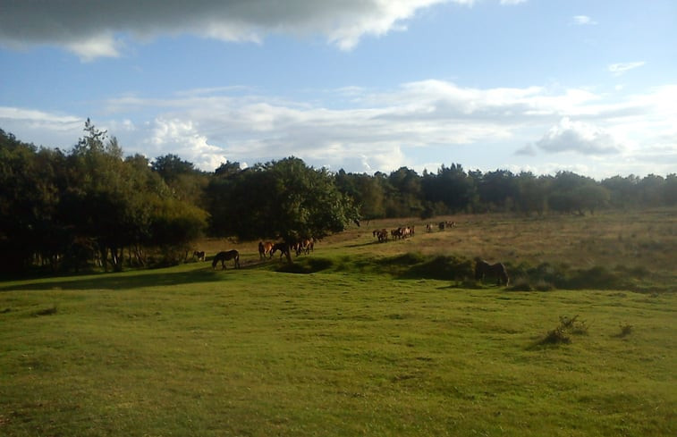 Natuurhuisje in Boijl