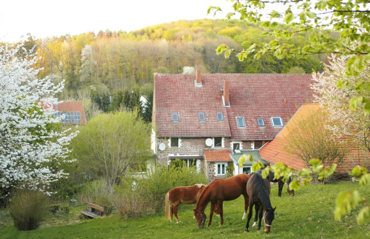 Natuurhuisje in Kalletal-Heidelbeck