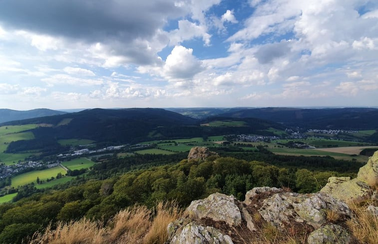 Natuurhuisje in Olsberg