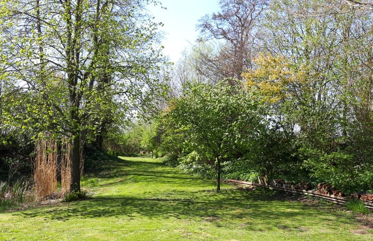 Natuurhuisje in Wedde