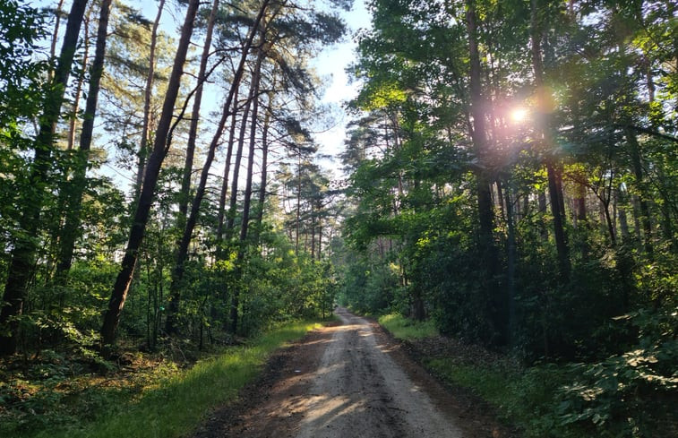 Natuurhuisje in Lichtaart