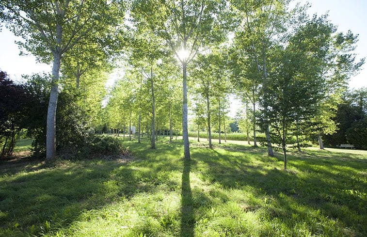 Natuurhuisje in Le Riols Bas