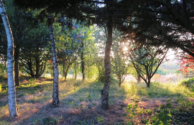 Natuurhuisje in Chevillé