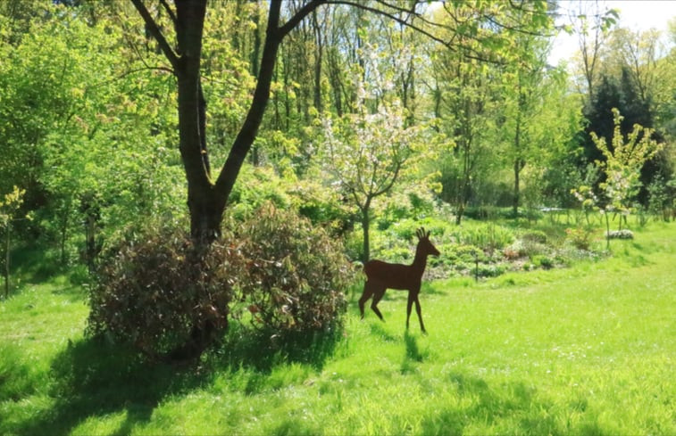 Natuurhuisje in Lochem